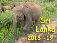 Sri Lanka
