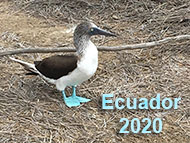 Ecuador