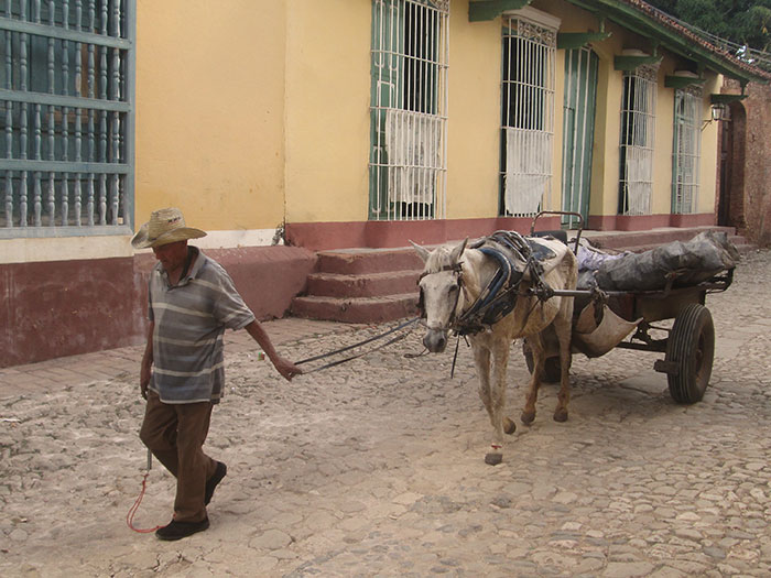 Horse & Buggy