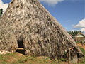 Drying Shed