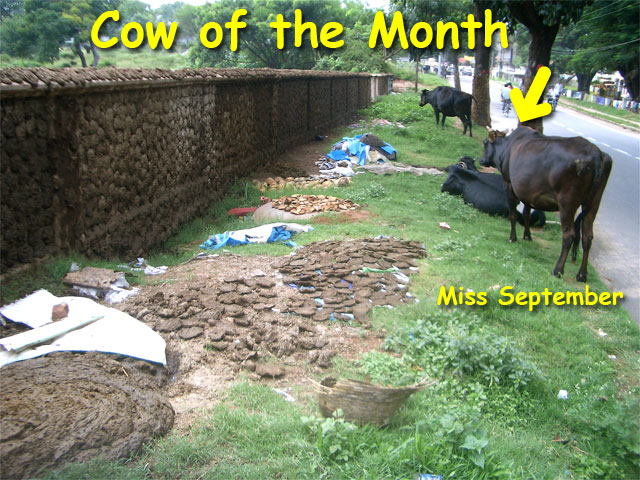 Miss September