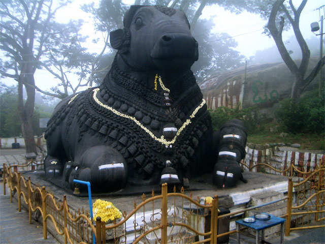 Nandi