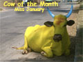 Miss January