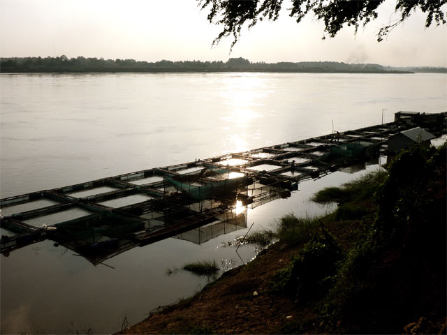 Fish farm