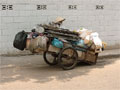Recycling