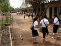 school
