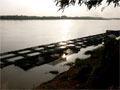Fish Farm