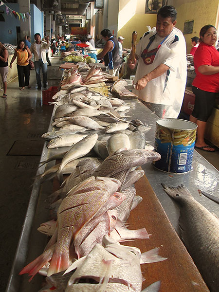 Fish Market