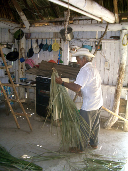 Palapa 1