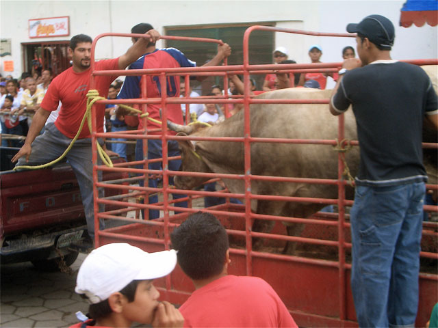 Toro in Truck