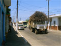 Sugar Truck