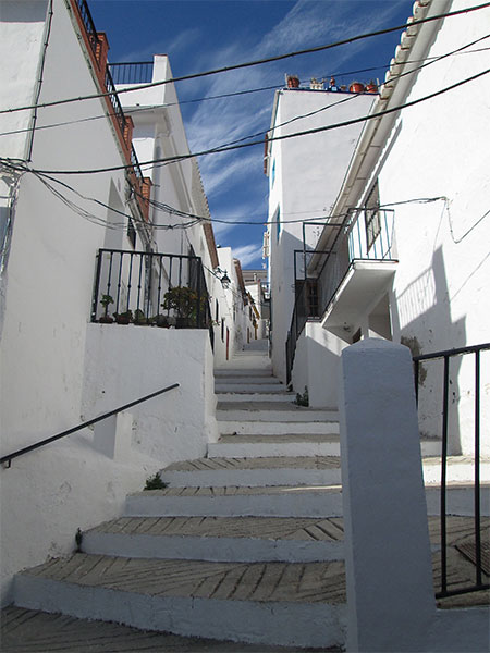Cutar Street