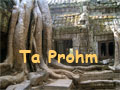 Ta Prohm