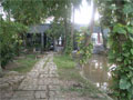 Laurie's house