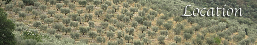 Location