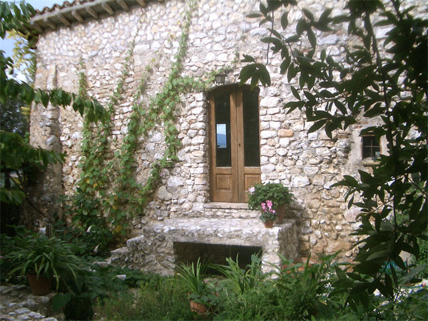 Back Door