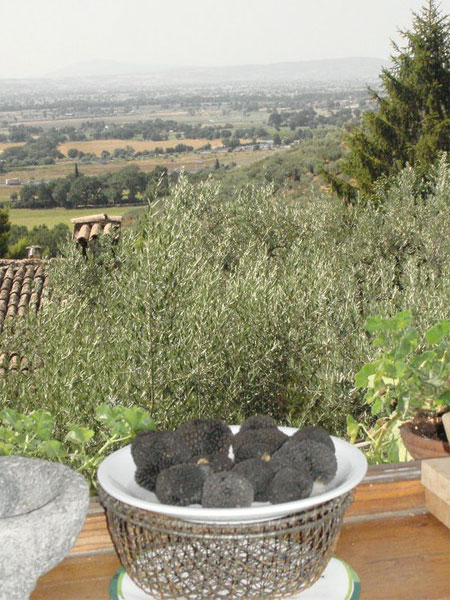 Eggi View with Truffles